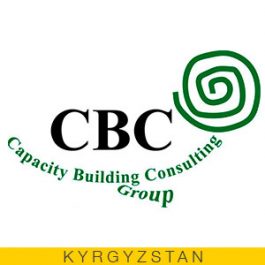 Capacity-Building-Consulting-Group